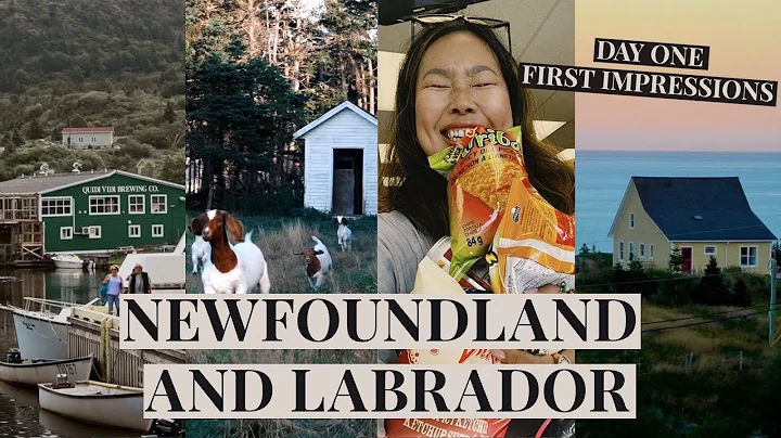 First Day in Newfoundland and Labrador | First Impressions (Atlantic Canada travel vlog)