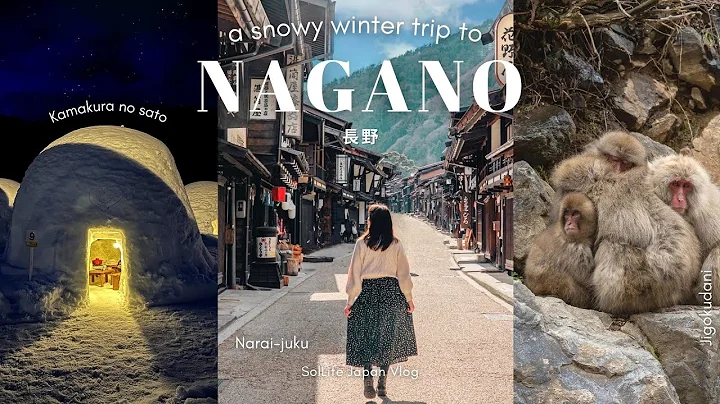 JAPAN TRAVEL VLOG| Snowy Winter trip to Nagano| Snow monkey, Narai-juku, Togakushi, Howl’s cafe
