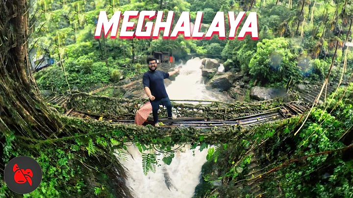 MEGHALAYA TRAVEL VLOG (wettest place on Earth)   | Living Root Bridge, Cherrapunji, Mawlynnong