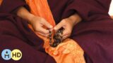 Tibetan Chakra Meditation: Moving Songs, Just Instrumental Music, Buddha Dreamer, Astral Healing