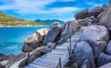 Koh Tao and Koh Nangyuan Speedboat Day Tour: Island Hopping, Two Snorkeling Experience with buffet lunch