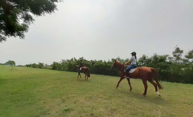 Yilan｜Kamalan Equestrian Stadium｜Horse Riding Experience｜Outdoor River Riding