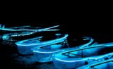 Las Vegas Neon Lights Clear-View Kayak Night Tour on the Colorado River