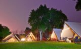 Miaoli: Bell Tent Glamping Experience in Whispering Tree Campground