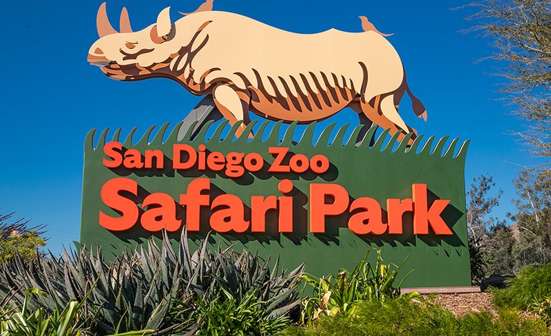 San Diego Zoo Safari Park Ticket