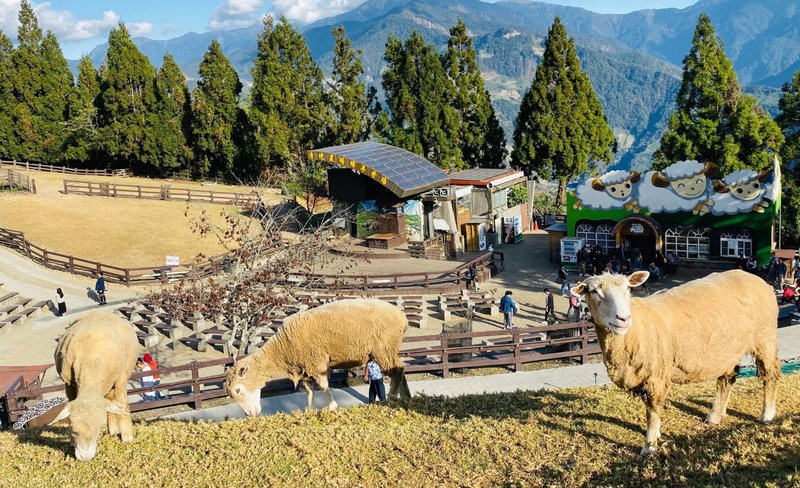 Qingjing Farm Day Tour from Taichung with hotel pick up