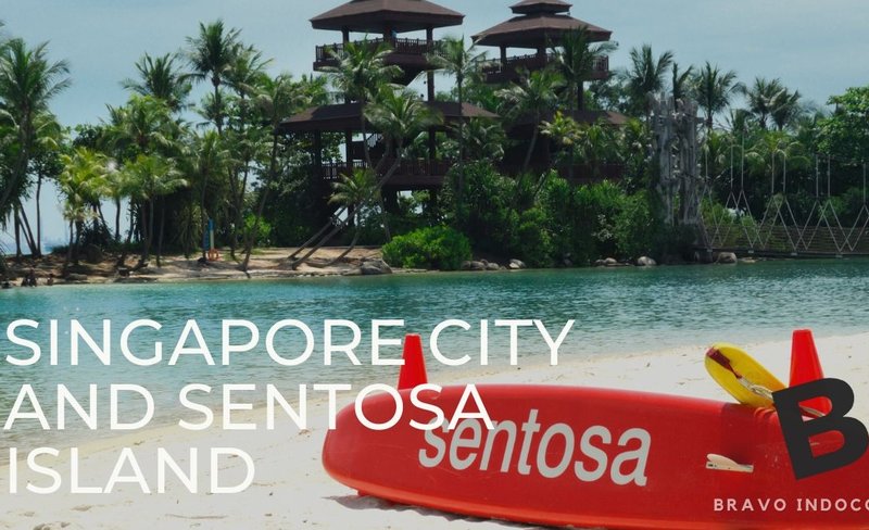 Private Half Day Singapore City Tour With Sentosa Island