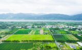 Taitung East Rift Valley Half Day Guided Tour