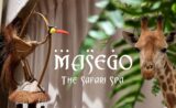 Masego The Safari Spa