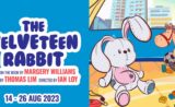 The Velveteen Rabbit | Wild Rice | Theatre