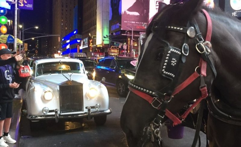 Central Park, Rockefeller Center, and Times Square Carriage Ride