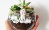 Terrarium DIY Home Kit or Workshop in Funan and Great World City