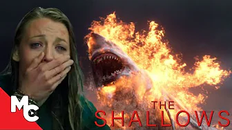 The Shallows | The Final Shark Fight | Full Crazy Scene!