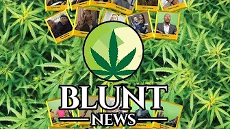 Blunt News (2022) | Weed Movie | Full Movie | High Movie