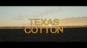 Texas Cotton – Trailer