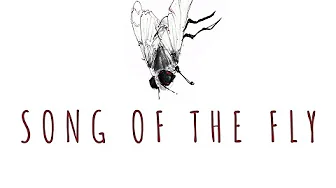 Song of the fly – Trailer