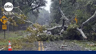 Tallahassee mayor on Idalia: Storm damage ‘could’ve been much worse’ | ABCNL