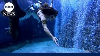 Mermaid enthusiasts dive into the ‘#mercore’ trend