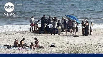 4 suspected shark attacks in 2 days along New York beaches l GMA