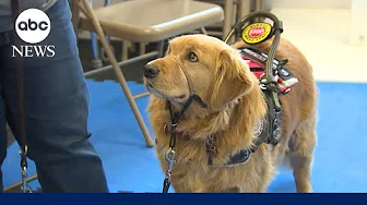 Colorado organization helps people with disabilities one service dog at a time