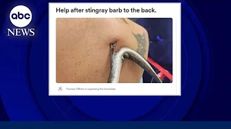 Woman speaks out after being ‘impaled’ by stingray in Florida l GMA