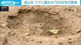 【速報】自宅の庭でクマに襲われ　70代女性が重傷　富山市(2023年10月9日)