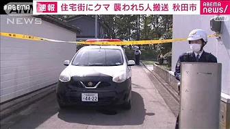 【速報】住宅街にクマ　襲われた5人搬送　秋田市(2023年10月9日)