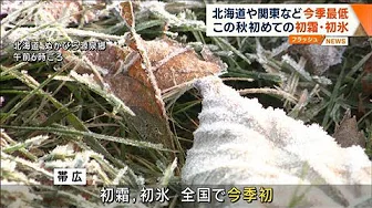 北海道や関東など今季最低 この秋初めての初霜・初氷(2023年10月9日)
