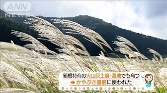 紅葉前の箱根も絶景！ススキ高原に3万粒ガラス芸術…温泉から富士山も【あらいーな】(2023年10月5日)