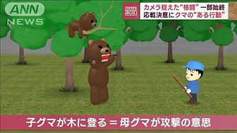 襲い掛かるクマに木で“応戦”　カメラが捉えた“格闘”一部始終(2023年10月2日)
