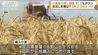 輸入小麦の売り渡し価格　3年ぶりに値下げへ(2023年9月12日)