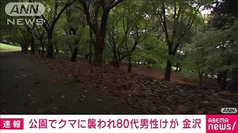 公園でクマに襲われ ウォーキング中の80代男性けが　石川・金沢市(2023年10月9日)