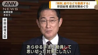 岸田総理　経済対策めぐり「あらゆる手法を動員」(2023年10月5日)