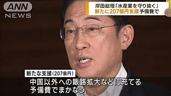 岸田総理「水産業を守り抜く」　新たに207億円支援(2023年9月5日)