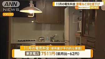 11月の電気料金　東電など8社「値下げ」【知っておきたい！】(2023年9月29日)