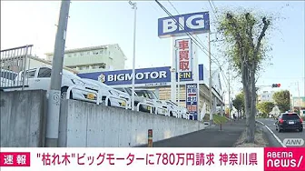 ビッグモーターに神奈川県が約780万円請求　“街路樹枯れ”原状回復費用(2023年9月29日)