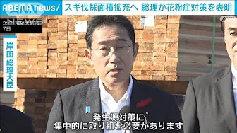 岸田総理 花粉症対策で製材工場視察「スギの伐採面積広げる」 住宅資材への転換も促進(2023年10月7日)