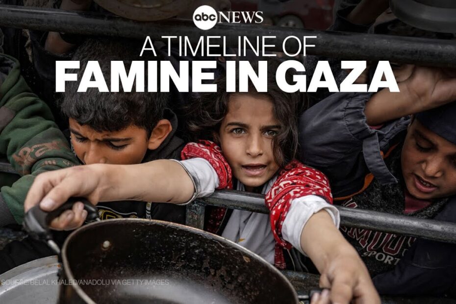 Famine in Gaza: A timeline of how the hunger crisis is unfolding