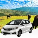 Taoyuan car rentals | Choose from multiple car models