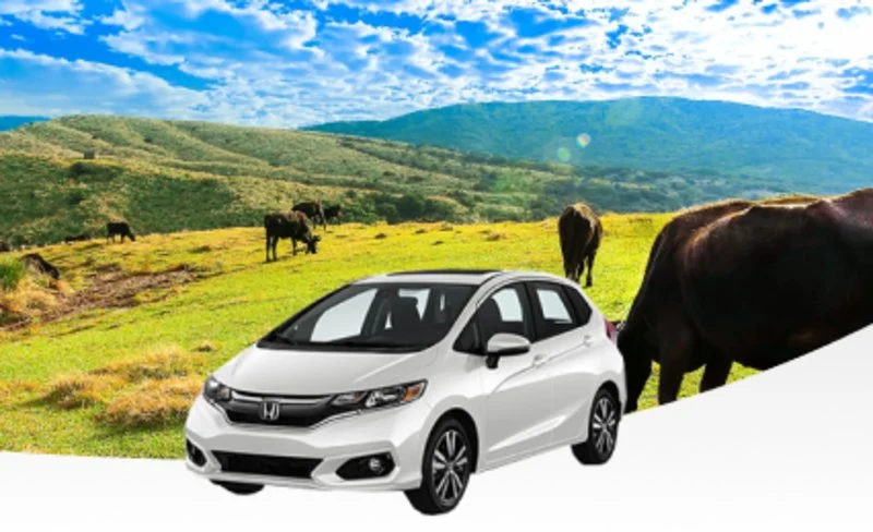 Taoyuan car rentals | Choose from multiple car models