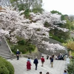 Kyoto Temple and Shrine Discovery Tour: Kiyomizudera, Yasaka & More