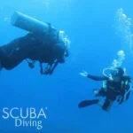 Adventure in Key Largo: Discover Scuba Diving with PADI Center