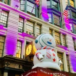 Holiday Lights and Movie Sites Tour in New York