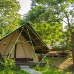 Camping in Changhua: Qingshui Nafang Hot Spring Luxury Camping Area