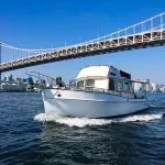 Tokyo City, Tokyo Bay & River 2 Hours Cruising Boat Private Tour