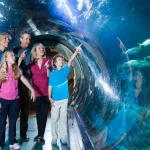 SEA LIFE Aquarium Ticket in Orlando