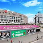 Fukuoka SoftBank HAWKS Baseball Game Ticket