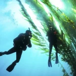 Go Further: Advanced Course in Agoura Hills with PADI 5* Dive Center