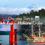 [Mt. Fuji & Hakone] Lake Ashi Sea Torii & Hakone Shrine & Hakone Pirate Ship & Hakone Ropeway & Owakudani & Yamanakako & Oshino Hakkai Day Tour | Free Cable Car Ticket | Departs from Tokyo