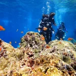 Taitung｜Lanyu Landi Diving｜Experience Diving